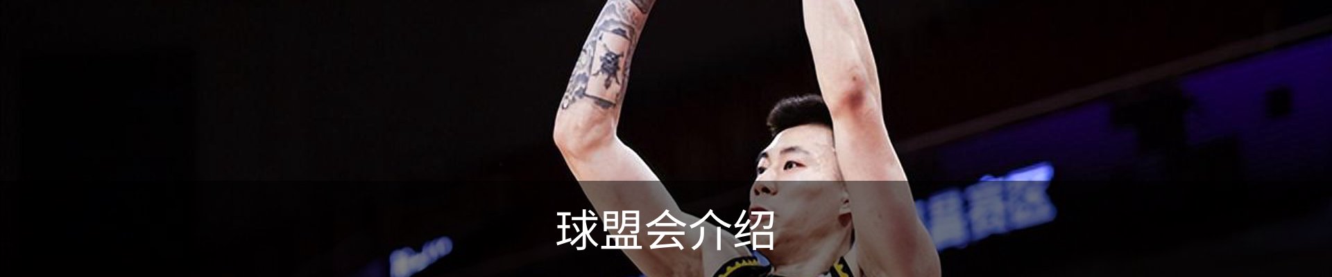球盟会介绍